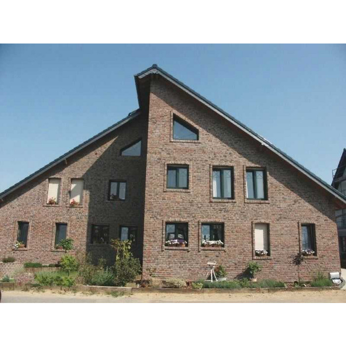 Кирпич облицовочный Terca Ringoven Paarsblauw, 208х98х48 мм фото 8