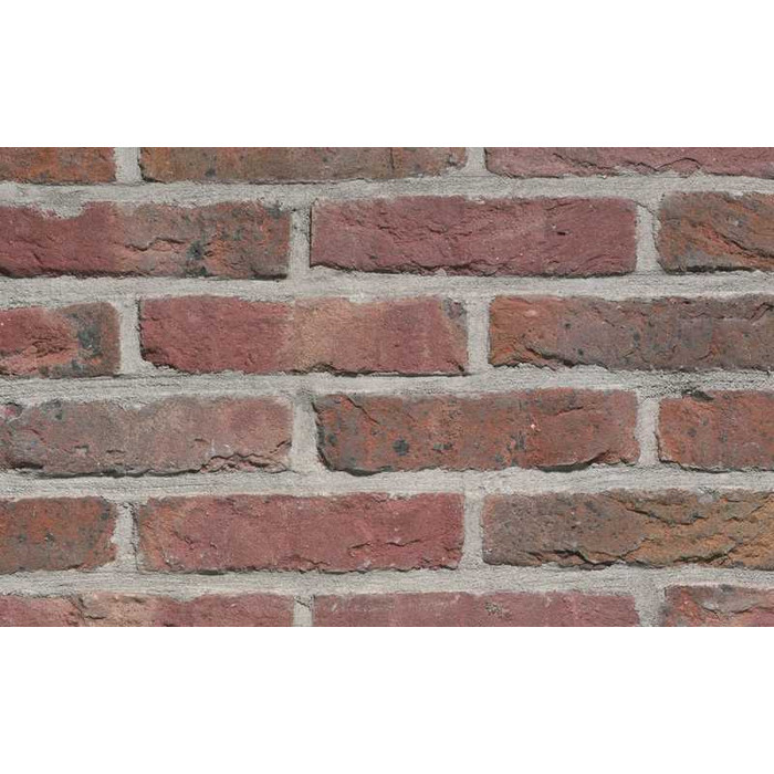 Кирпич облицовочный Terca Ringoven Paarsblauw, 208х98х48 мм