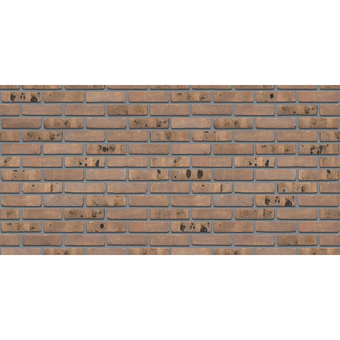 Кирпич S.Anselmo Superior Line Glazgo, Standart, 240х115х70 мм фото 4