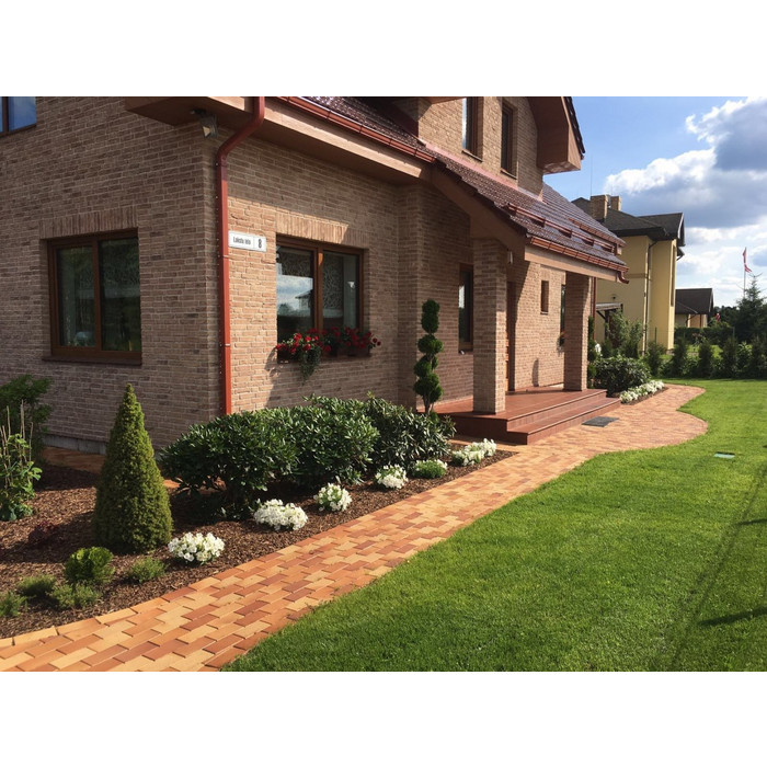 Кирпич S.Anselmo Superior Line Irlanda, Selmo, 240х115х70 мм фото 6