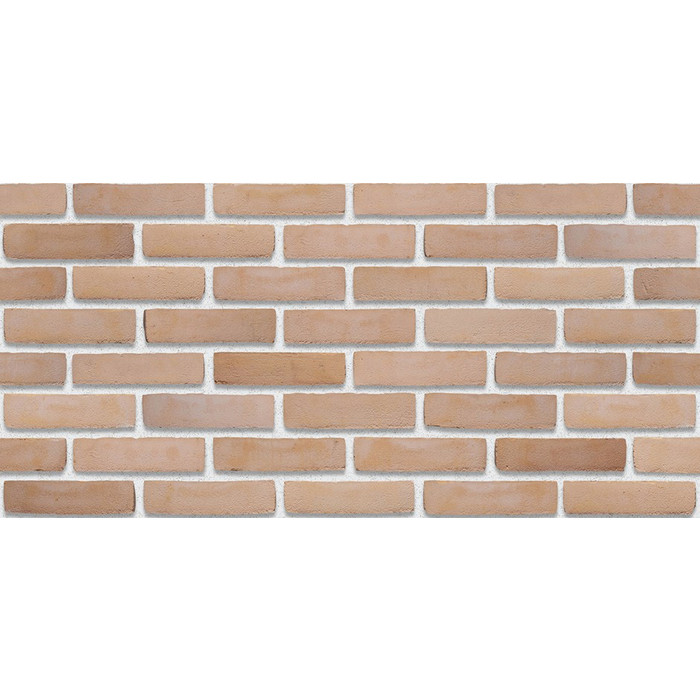 Кирпич S.Anselmo Superior Line Roma, Standart, 240х55х70 мм фото 2