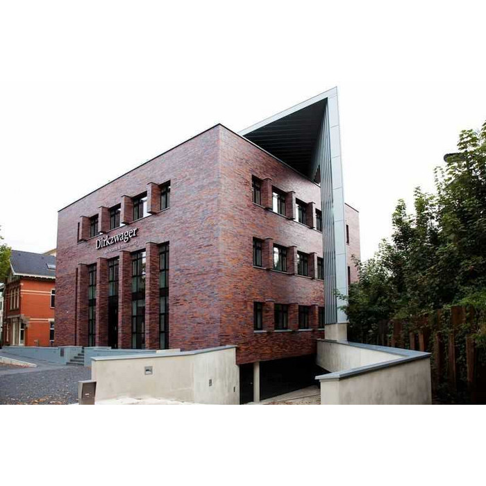 Кирпич клинкерный Muhr 12 Blaurot-bunt гладкий, 290х90х52 мм фото 7