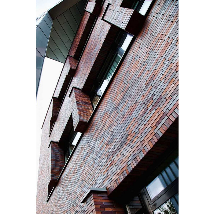 Кирпич клинкерный Muhr 12 Blaurot-bunt гладкий, 290х90х52 мм фото 9