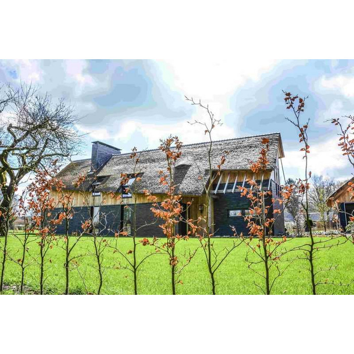 Кирпич клинкерный Muhr 15 F Schwarz-bunt Edelglanz bes. Fuss., 290х90х52 мм фото 6