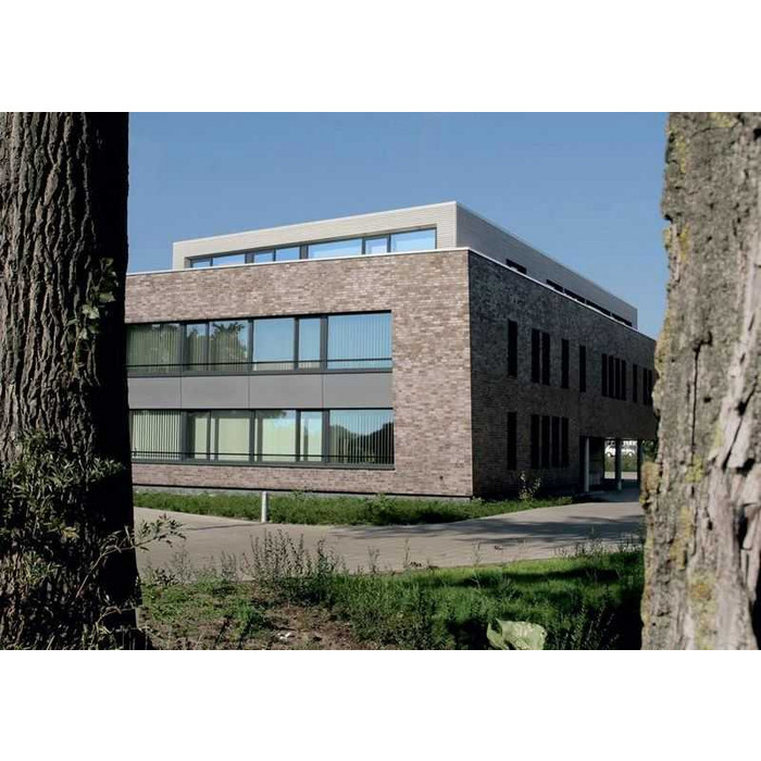 Кирпич клинкерный Roben Accum blau-braun гладкий, 240х115х71 мм фото 5