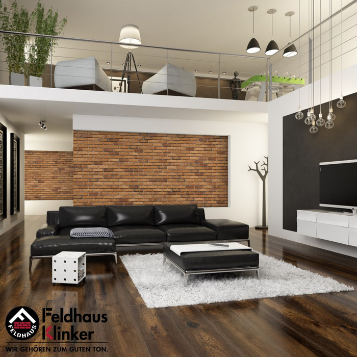 Кирпич клинкерный Feldhaus Klinker K684 sintra nolani ocasa 215х102х65 мм фото 6