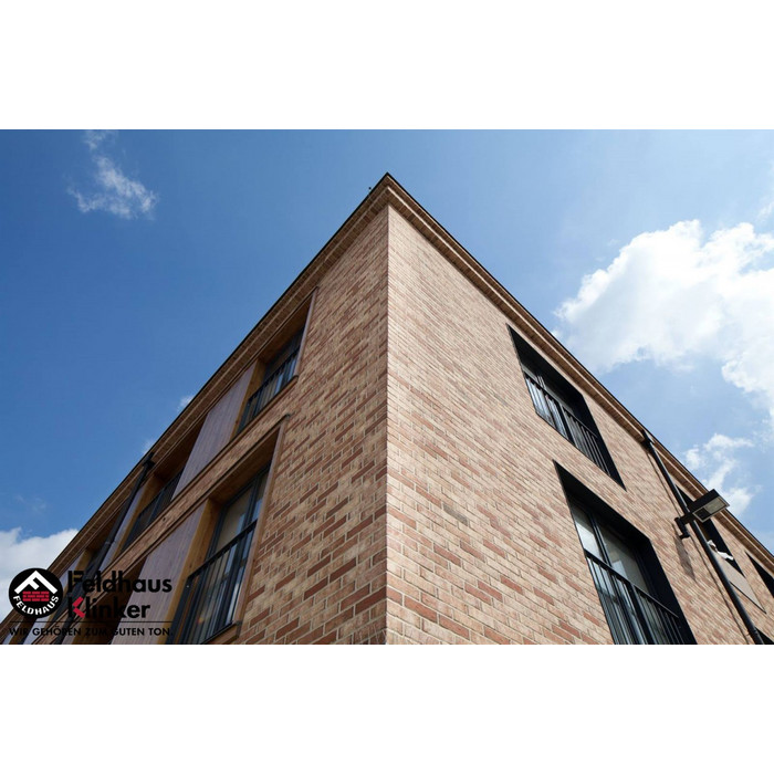 Кирпич клинкерный Feldhaus Klinker K690 sintra ardor blanca 215х102х65 мм фото 5