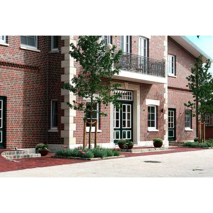 Кирпич клинкерный Roben Greetsiel friesisch-bunt гладкий, 240х115х71 мм фото 2