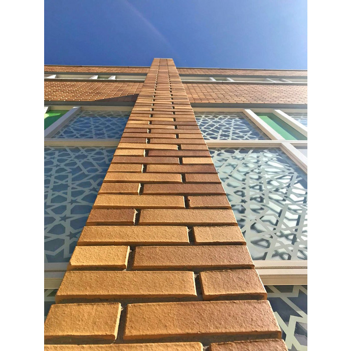 Кирпич клинкерный Muhr 01 EG Niederlausitzer Gelb Edelglanz готик, 240х55х71 мм фото 7