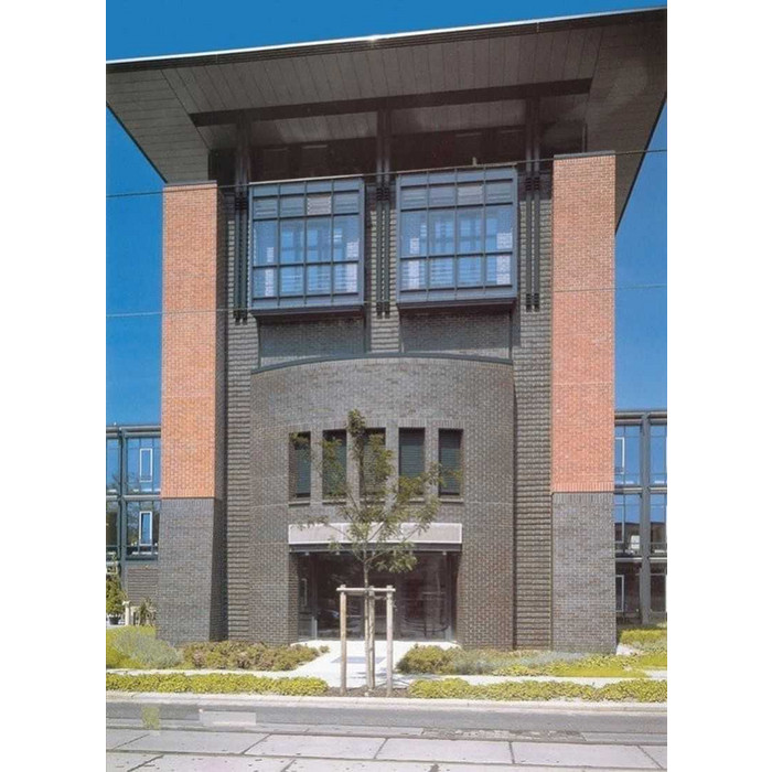 Кирпич клинкерный щелевой Terca Dresden, 250х120х65 мм фото 8