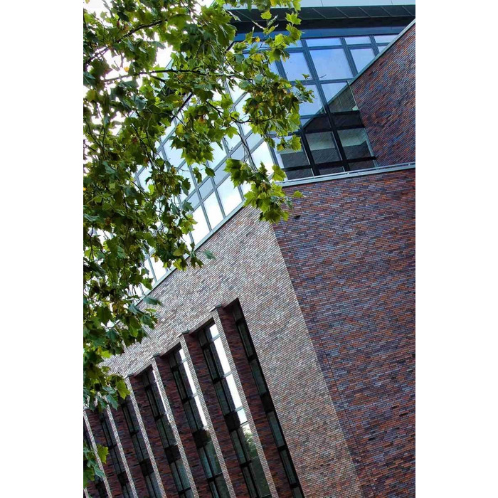 Кирпич клинкерный Muhr 12 Blaurot-bunt гладкий, 240х115х71 мм фото 3