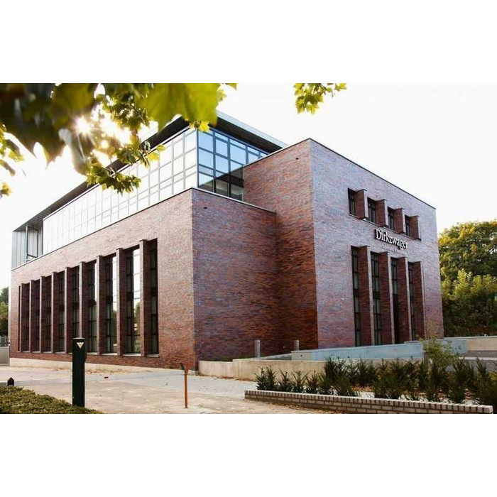 Кирпич клинкерный Muhr 12 Blaurot-bunt гладкий, 240х115х71 мм фото 2