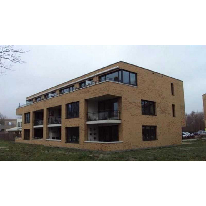 Кирпич клинкерный Muhr 01 EG Niederlausitzer Gelb Edelglanz гладкий, 290х90х71 мм фото 3