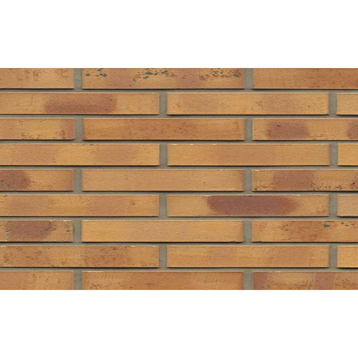 Кирпич клинкерный Muhr 06 K Hellbraun-bunt Kohle гладкий, 290х90х40 мм