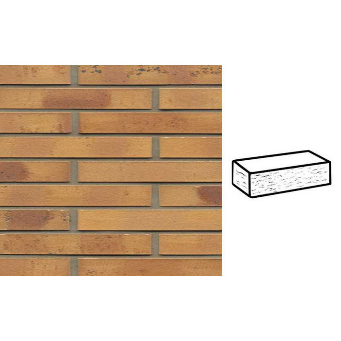 Кирпич клинкерный Muhr 06 K Hellbraun-bunt Kohle рустик, 290х90х40 мм