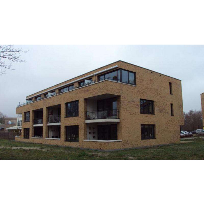 Кирпич клинкерный Muhr 02 Gelb Bunt готик, 240х90х40 мм фото 3